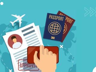 Visa Processing